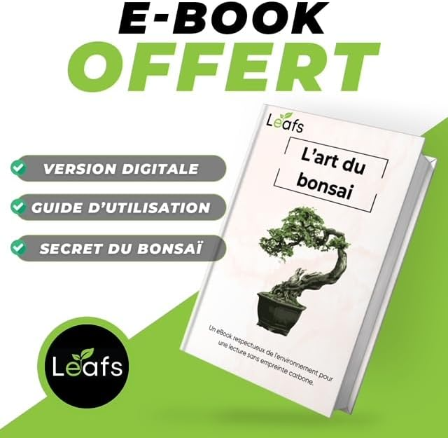 E-book offert