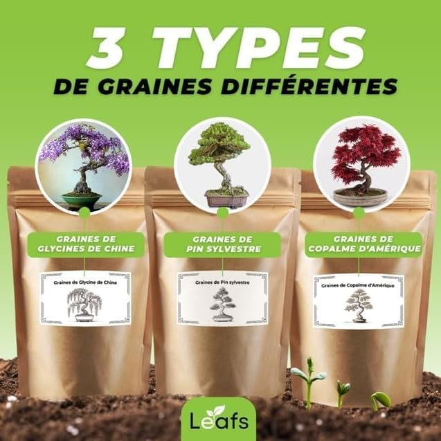 Graines premium