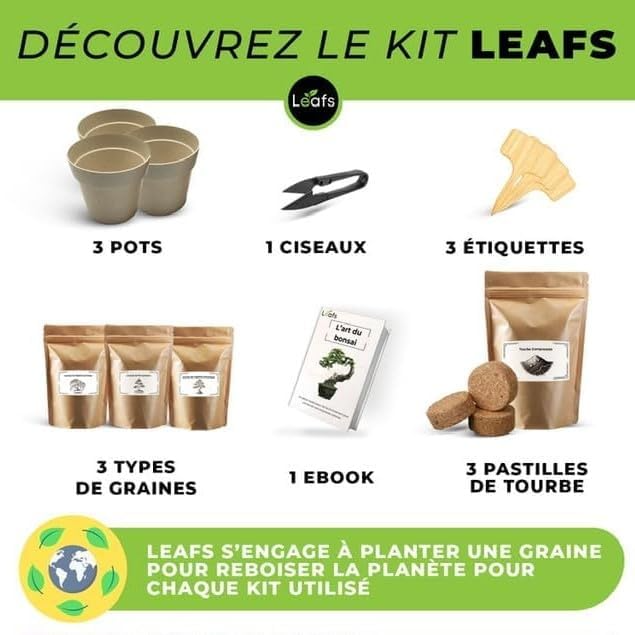 Vue d'ensemble du kit Leafs